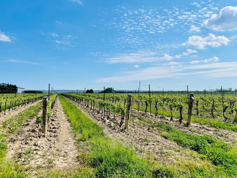 Waterfront Niagara-On-The-Lake Farmhouse On A Vineyard Villa Buitenkant foto